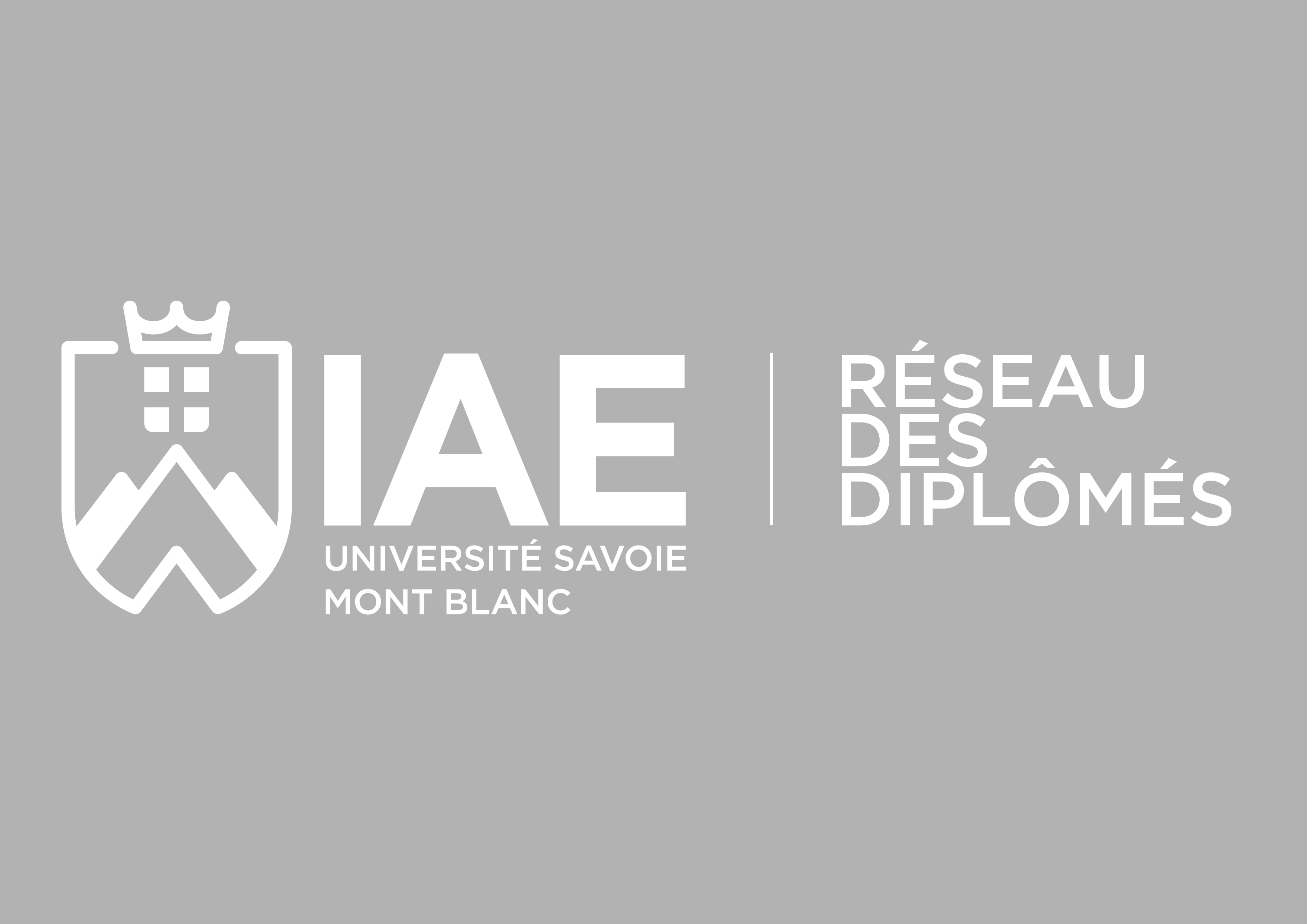 logo IAE diplomes